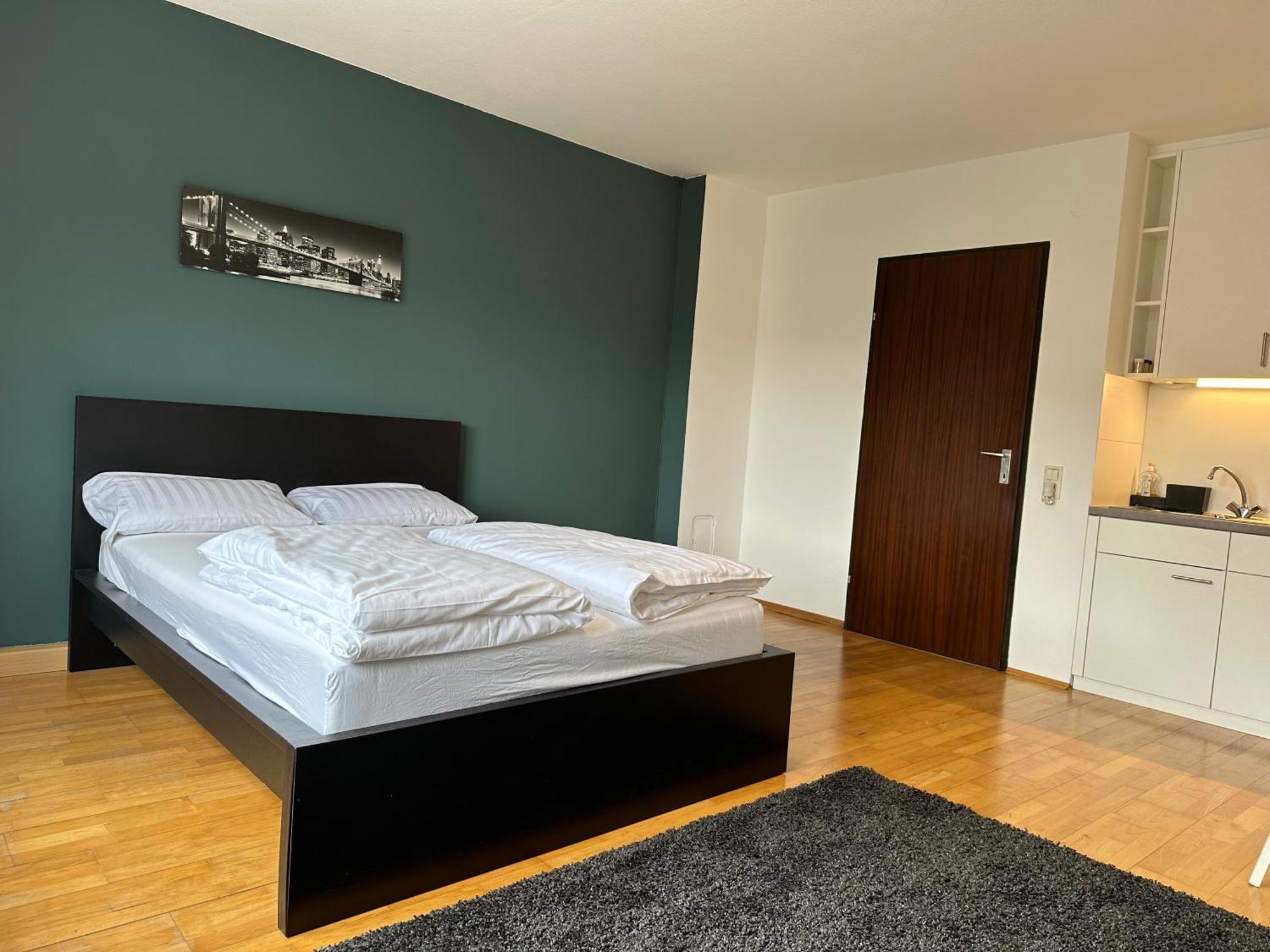 Near Main Train Station Apartment Linz